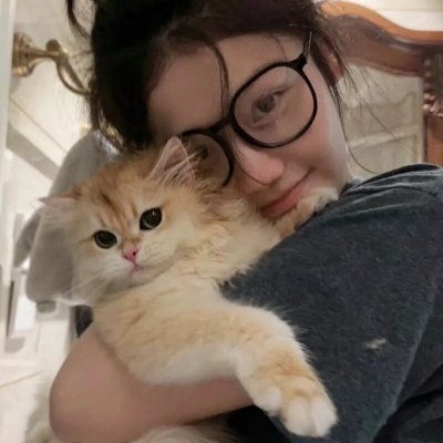 猪猪侠·不可思议的世界 在线观看封面