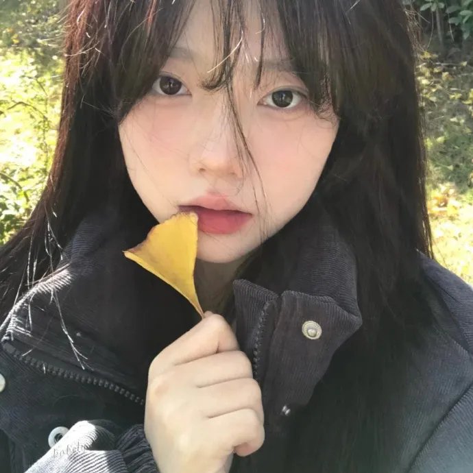 发现女巫第二季